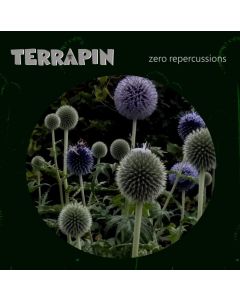 TERRAPIN / ZERO REPERCUSSIONS - CD