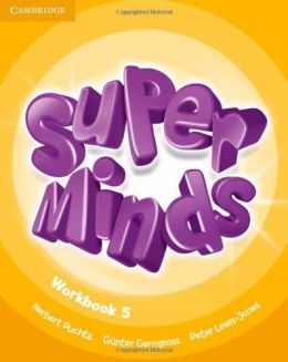 SUPER MINDS 5 WORKBOOK